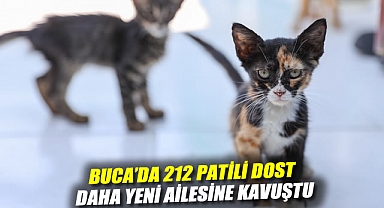 Buca'da 212 patili dost daha yeni ailesine kavuştu