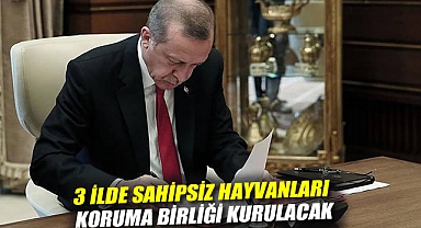 Erdoğan imzaladı: 3 ilde