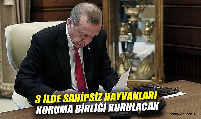 Erdoğan imzaladı: 3 ilde
