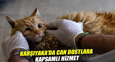 Karşıyaka’da can dostlara kapsamlı hizmet