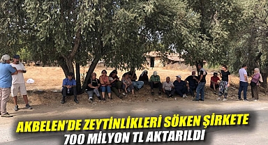Akbelen'de zeytinlikleri söken şirkete 700 milyon TL aktarıldı