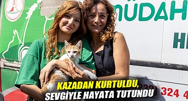 Kazadan kurtuldu, sevgiyle hayata tutundu