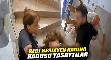 Kedi besleyen kadına kabusu yaşattılar!