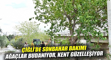 Çiğli'de sonbahar bakımı: Ağaçlar budanıyor, kent güzelleşiyor