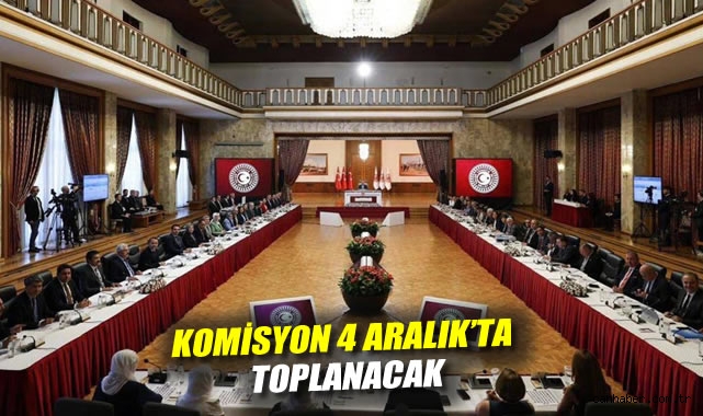 İmralı ziyareti sonrası ilk toplantı: Komisyon 4 Aralık'ta toplanacak