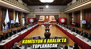 İmralı ziyareti sonrası ilk toplantı: Komisyon 4 Aralık'ta toplanacak