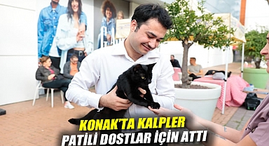 Konak'ta kalpler patili dostlar için attı