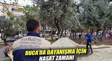 BUCA'DA DAYANIŞMA İÇİN HASAT ZAMANI