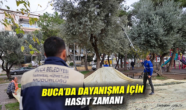 BUCA'DA DAYANIŞMA İÇİN HASAT ZAMANI