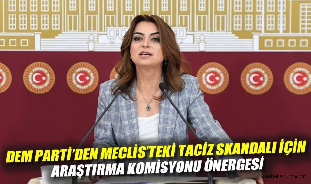 DEM Parti'den Meclis'teki taciz skandalı için araştırma komisyonu önergesi