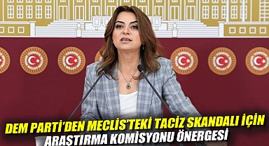 DEM Parti'den Meclis'teki taciz skandalı için araştırma komisyonu önergesi