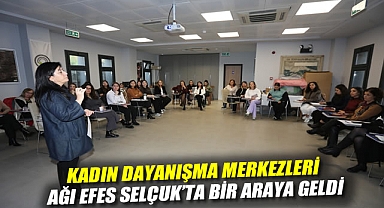 KADIN DAYANIŞMA MERKEZLERİ AĞI EFES SELÇUK'TA BİR ARAYA GELDİ