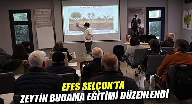 EFES SELÇUK'TA ZEYTİN BUDAMA EĞİTİMİ DÜZENLENDİ