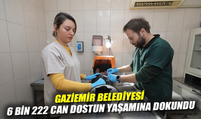 Gaziemir Belediyesi 6 bin 222 can dostun yaşamına dokundu
