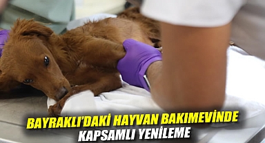 Bayraklı'daki Hayvan Bakımevinde Kapsamlı Yenileme