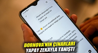 Bornova'nın çınarları yapay zekayla tanıştı