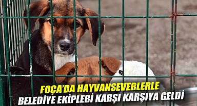 Foça'da Hayvanseverlerle Belediye Ekipleri Karşı Karşıya Geldi