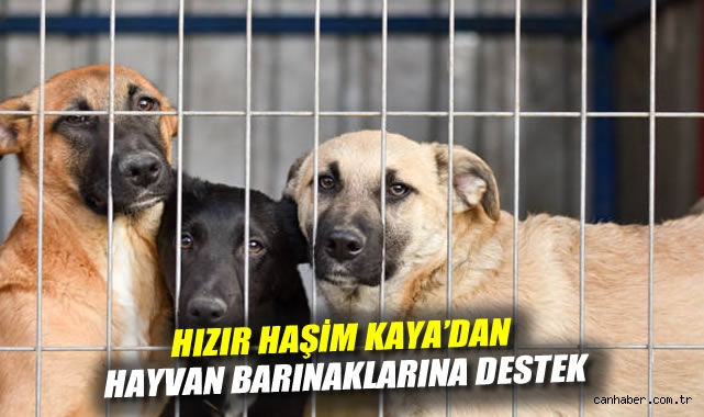 Hızır Haşim Kaya'dan Hayvan Barınaklarına Destek