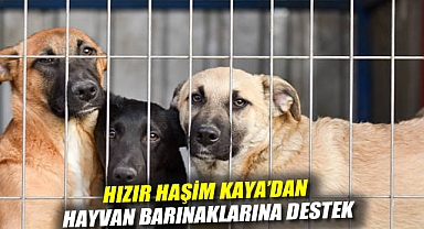 Hızır Haşim Kaya'dan Hayvan Barınaklarına Destek