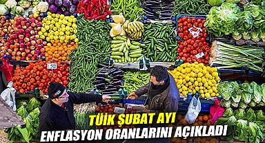 TÜİK şubat ayı enflasyon oranlarını açıkladı