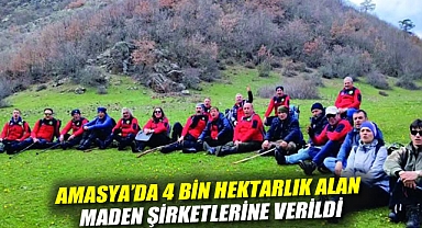 AMASYA'DA 4 BİN HEKTARLIK ALAN MADEN ŞİRKETLERİNE VERİLDİ: SU KAYNAKLARI VE YAŞAM ALANLARI TEHLİKEDE