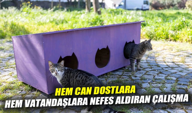 Bornova Belediyesi'nden hem can dostlara hem vatandaşlara nefes aldıran çalışma
