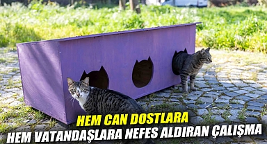 Bornova Belediyesi'nden hem can dostlara hem vatandaşlara nefes aldıran çalışma