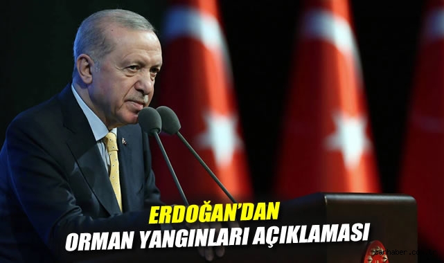 Erdoğan'dan orman yangınları açıklaması