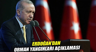 Erdoğan'dan orman yangınları açıklaması