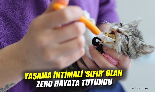Yaşama ihtimali 'sıfır' olan Zero hayata tutundu