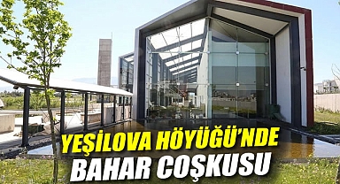 Yeşilova Höyüğü’nde Bahar Coşkusu