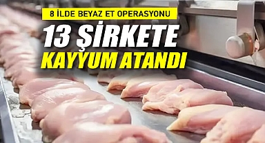 8 ilde beyaz et operasyonu, 13 şirkete kayyum atandı