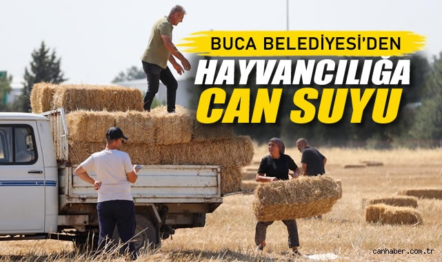 Buca Belediyesi'nden Hayvancılığa Can Suyu