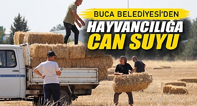 Buca Belediyesi'nden Hayvancılığa Can Suyu