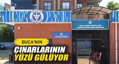 Buca'nın Çınarlarının Yüzü Gülüyor